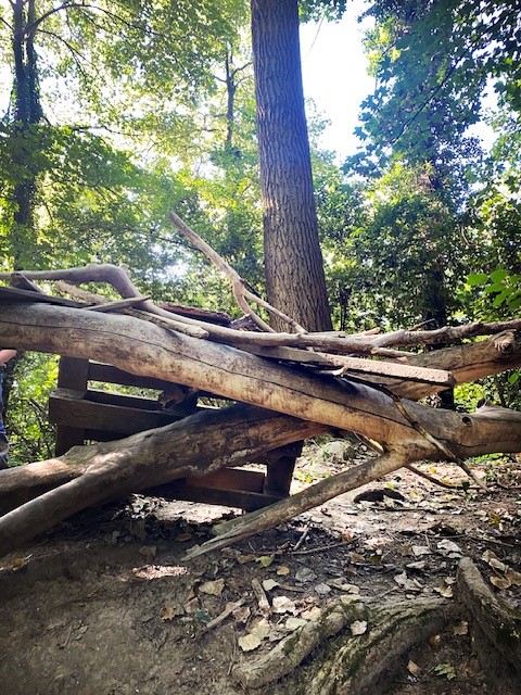 Wir bauen Buden im Wald