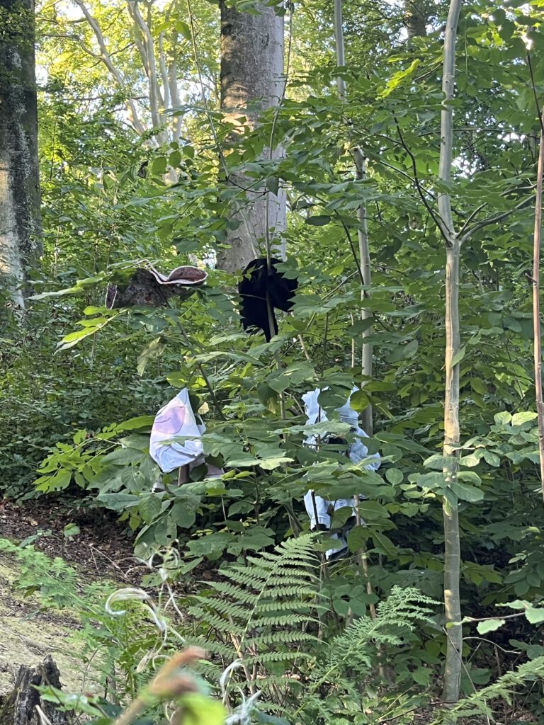 Die Kinder haben sich im Wald erst einmal häuslich eingerichtet und ihre Wäsche über Bäume drappiert.